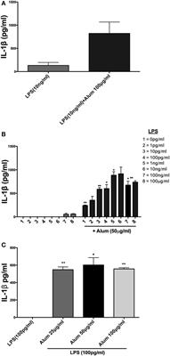 Alum Activates the Bovine NLRP3 Inflammasome